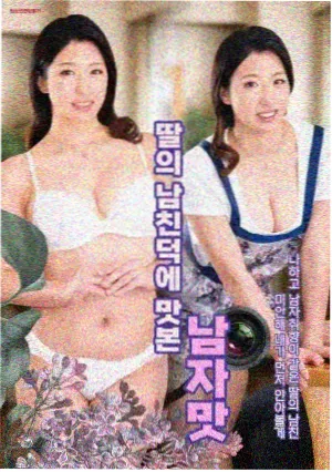 星空影院在线观看免费播放电视剧家庭剧四季厨房剧照
